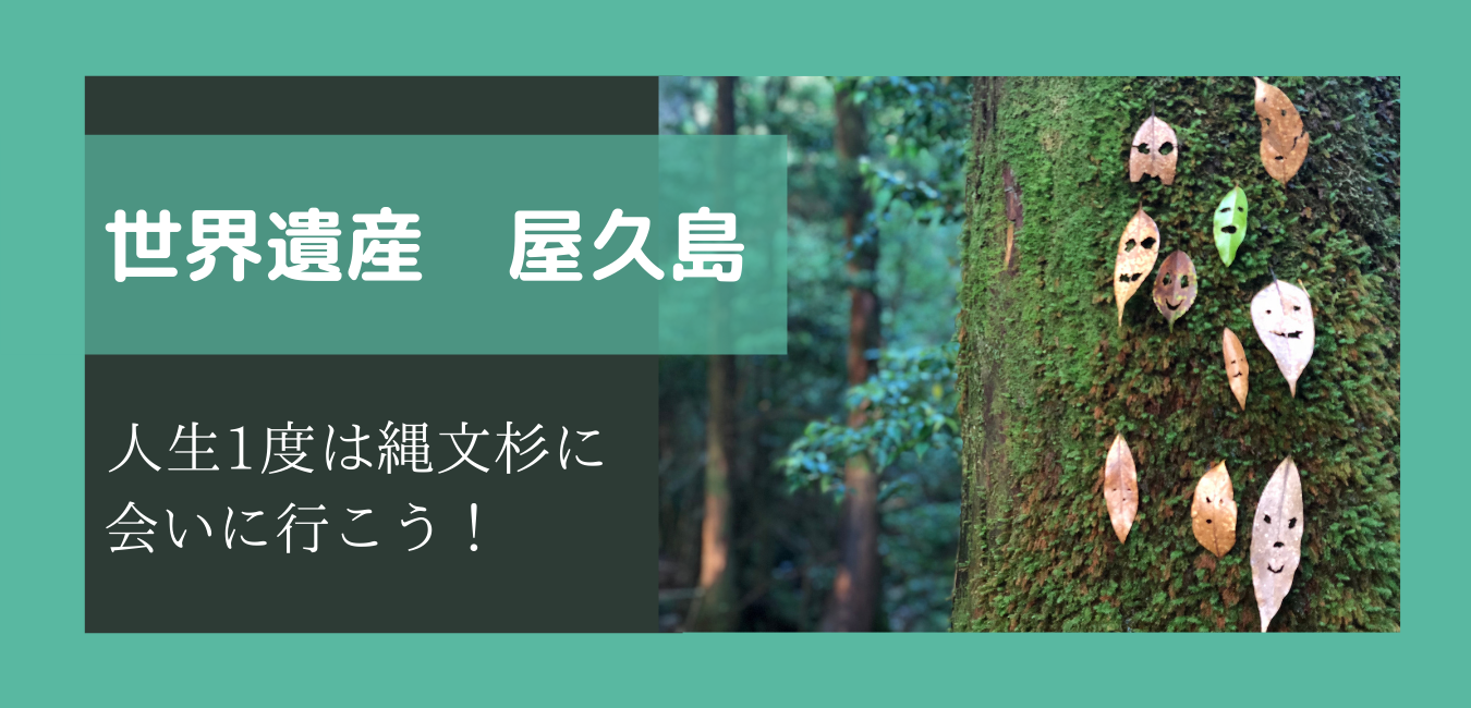 世界遺産 屋久島 初心者にもおすすめ 人生で1度は縄文杉に会いに行こう やちゃぼうたいむ 世界遺産 屋久島 初心者にもおすすめ 人生で1度は縄文杉に会いに行こう やちゃぼうたいむ