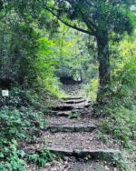 山道。わくわく。

#みんなに写真を見せ隊 
#山道具 #私の山道具 

#hike #hikemore 
#ソロハイカー　#ソロ登山
#単独登山女子 

#rawlowmountainworks 
#beetle 

#thisisjapan 
#yamagirl_loveyell 

#九州の山の魅力 
#私の山フォト 
#hyakkeime 
#happyhikerskyushu
#yamap55 
#週末登山部
#山好きな人と繋がりたい 
#UL #ul登山 
#山スタグラム 

#tetonbros 
#ツルギジャケット
#山と道three 
#rawlowmountainworks 
#mountainjam 
#mountainjohnny

#yamap55 

お気に入りアイテムは
≫≫≫lit.link 楽天ルームにて掲載

九州の山の魅力について記事にしています。
詳細は>>>>『やちゃ坊たいむ』へ
@yachabou.time