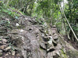自然の階段？
それとも人工？

#nagasaki #志々岐山

#みんなに写真を見せ隊 
#山道具 #私の山道具 

#hike #hikemore 
#ソロハイカー　#ソロ登山
#単独登山女子 

#rawlowmountainworks 
#beetle 

#thisisjapan 
#yamagirl_loveyell 

#九州の山の魅力 
#私の山フォト 
#hyakkeime 
#happyhikerskyushu
#yamap55 
#週末登山部
#山好きな人と繋がりたい 
#UL #ul登山 
#山スタグラム 

#tetonbros 
#ツルギジャケット
#山と道three 
#rawlowmountainworks 
#mountainjam 
#mountainjohnny

#yamap55 

お気に入りアイテムは
≫≫≫lit.link 楽天ルームにて掲載

九州の山の魅力について記事にしています。
詳細は>>>>『やちゃ坊たいむ』へ
@yachabou.time