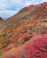 紅葉が待ち遠しい時期やってきたね🍁

#oita #三俣山 #紅葉 

#みんなに写真を見せ隊 
#山道具 #私の山道具 

#hike #hikemore 
#ソロハイカー　#ソロ登山
#単独登山女子 

#rawlowmountainworks 
#beetle 

#thisisjapan 
#yamagirl_loveyell 

#九州の山の魅力 
#私の山フォト 
#hyakkeime 
#happyhikerskyushu
#yamap55 
#週末登山部
#山好きな人と繋がりたい 
#UL #ul登山 
#山スタグラム 

#tetonbros 
#ツルギジャケット
#山と道three 
#rawlowmountainworks 
#mountainjam 
#mountainjohnny

#yamap55 

お気に入りアイテムは
≫≫≫lit.link 楽天ルームにて掲載

九州の山の魅力について記事にしています。
詳細は>>>>『やちゃ坊たいむ』へ
@yachabou.time