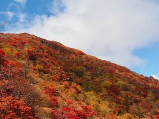秋の空気が好き

🍁

#oita #三俣山 #紅葉 

#みんなに写真を見せ隊 
#山道具 #私の山道具 

#hike #hikemore 
#ソロハイカー　#ソロ登山
#単独登山女子 

#rawlowmountainworks 
#beetle 

#thisisjapan 
#yamagirl_loveyell 

#九州の山の魅力 
#私の山フォト 
#hyakkeime 
#happyhikerskyushu
#yamap55 
#週末登山部
#山好きな人と繋がりたい 
#UL #ul登山 
#山スタグラム 

#tetonbros 
#ツルギジャケット
#山と道three 
#rawlowmountainworks 
#mountainjam 
#mountainjohnny

#yamap55 

お気に入りアイテムは
≫≫≫lit.link 楽天ルームにて掲載

九州の山の魅力について記事にしています。
詳細は>>>>『やちゃ坊たいむ』へ
@yachabou.time